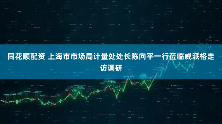 同花顺配资 上海市市场局计量处处长陈向平一行莅临威派格走访调研