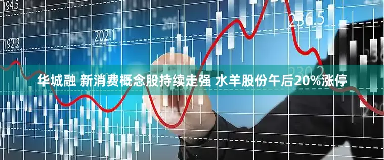 华城融 新消费概念股持续走强 水羊股份午后20%涨停