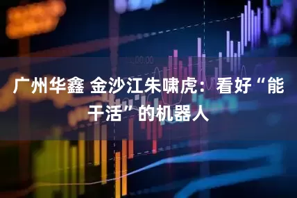 广州华鑫 金沙江朱啸虎：看好“能干活”的机器人