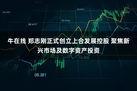 牛在线 郑志刚正式创立上合发展控股 聚焦新兴市场及数字资产投资